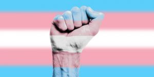 Transgender flag & fist